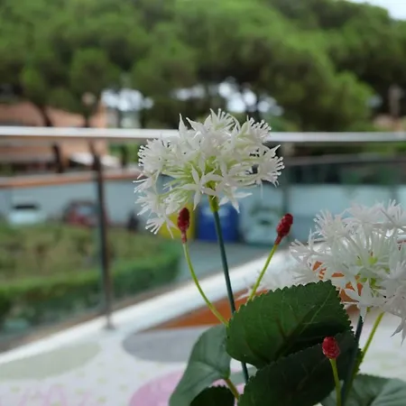 Ilia Apartment *